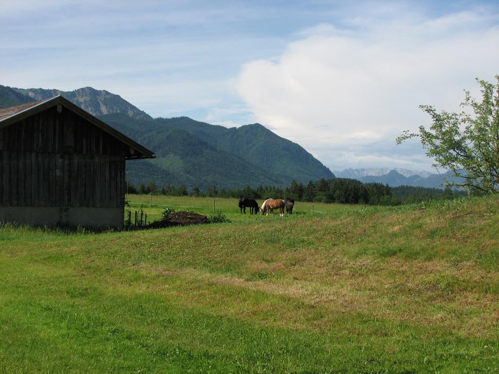 Beim Bicher Grabenstätt Extérieur photo